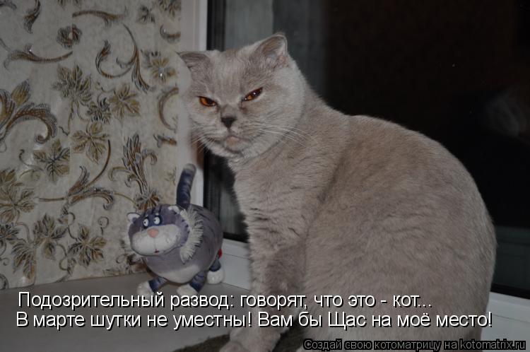 Подозрительный развод: говорят, что это - кот... В марте шутки не уместны! Вам бы Щас на моё место!... Котоматрица: Подозрительный развод: говорят, что это - кот... В марте шутки не уместны! Вам бы Щас на моё место!