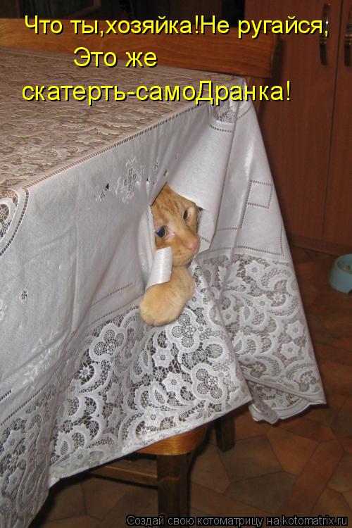Это же скатерть-самоДранка! Что ты,хозяйка!Не ругайся,... Котоматрица: Это же скатерть-самоДранка! Что ты,хозяйка!Не ругайся,