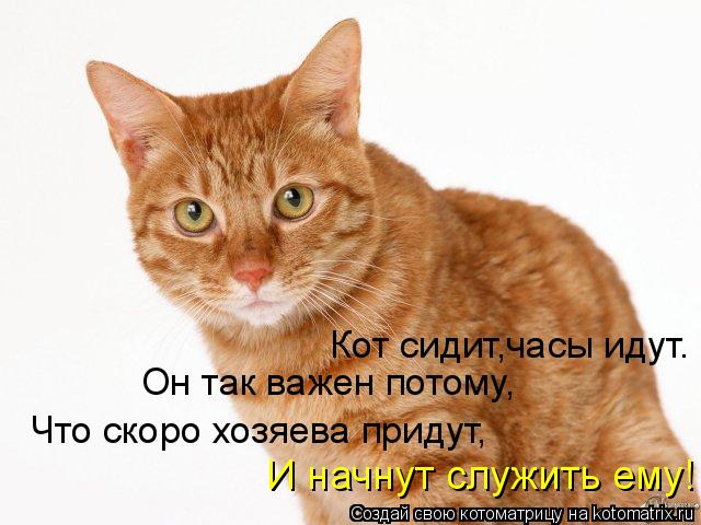 Кот сидит,часы идут. Он так важен потому, Что скоро хозяева придут, И начнут служить ему!... Котоматрица: Кот сидит,часы идут. Он так важен потому, Что скоро хозяева придут, И начнут служить ему!