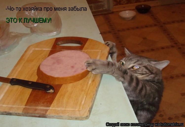 -Чо-то хозяйка про меня забыла ЭТО К ЛУЧШЕМУ!... Котоматрица: -Чо-то хозяйка про меня забыла ЭТО К ЛУЧШЕМУ!