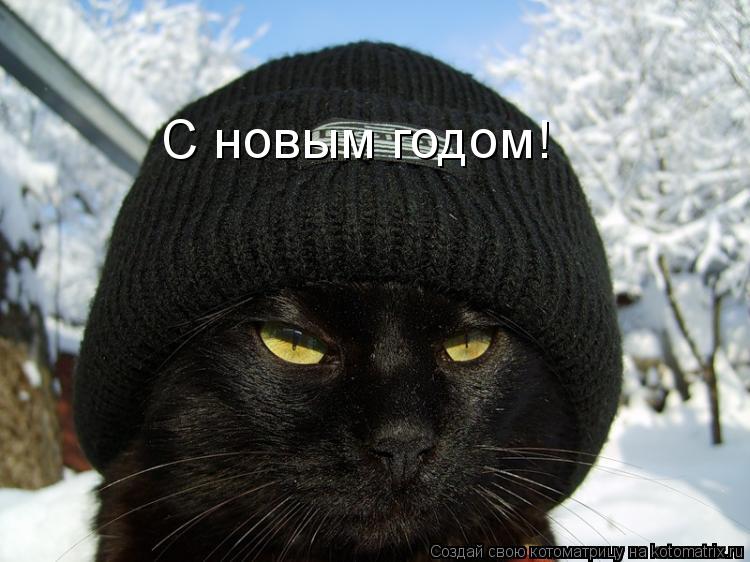 С новым годом!... Котоматрица: С новым годом!