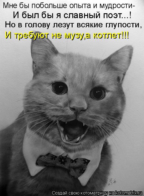 Котоматрица: И был бы я славный поэт...! Мне бы побольше опыта и мудрости- Но в голову лезут всякие глупости, И требуют не музу,а котлет!!!