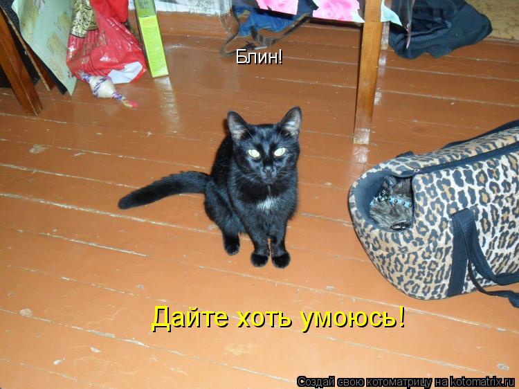 Блин! Дайте хоть умоюсь!... Котоматрица: Блин! Дайте хоть умоюсь!