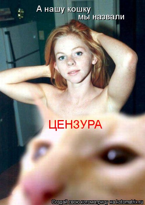 А нашу кошку мы назвали ЦЕНЗУРА... Котоматрица: А нашу кошку мы назвали ЦЕНЗУРА