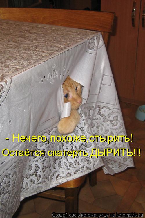 - Нечего,похоже,стырить! Остаётся скатерть ДЫРИТЬ!!!... Котоматрица: - Нечего,похоже,стырить! Остаётся скатерть ДЫРИТЬ!!!
