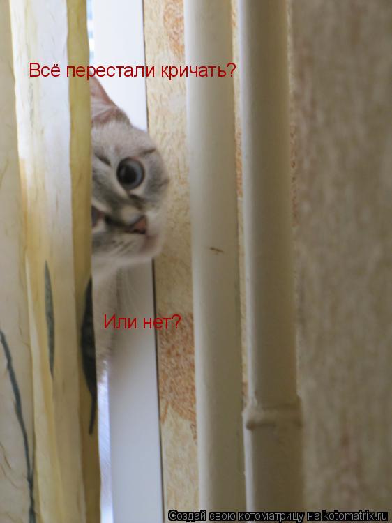 Всё перестали кричать? Или нет?... Котоматрица: Всё перестали кричать? Или нет?