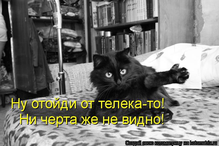Котоматрица: Ну отойди от телека-то!  Ни черта же не видно!