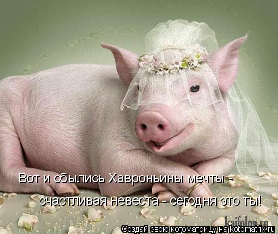 Вот и сбылись Хавроньины мечты - счастливая невеста - сегодня это ты!... Котоматрица: Вот и сбылись Хавроньины мечты - счастливая невеста - сегодня это ты!