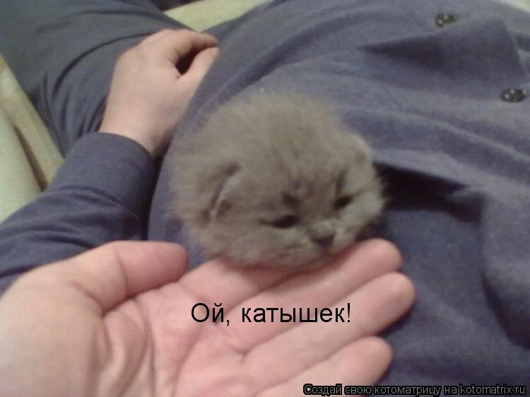 Ой, катышек!... Котоматрица: Ой, катышек!