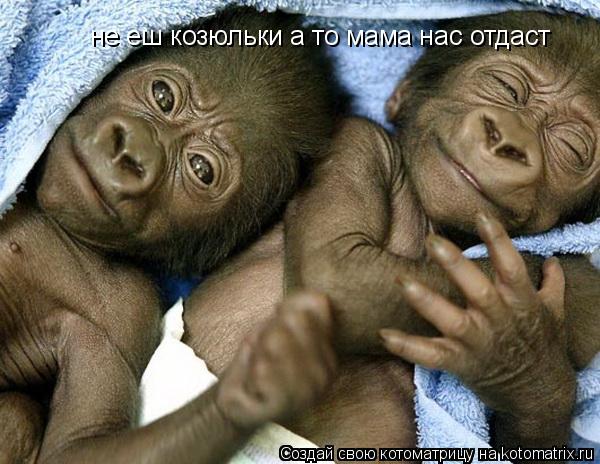 не еш козюльки а то мама нас отдаст... Котоматрица: не еш козюльки а то мама нас отдаст