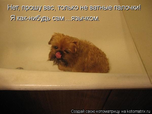 Нет, прошу вас, только не ватные палочки! Я как-нибудь сам ...язычком.... Котоматрица: Нет, прошу вас, только не ватные палочки! Я как-нибудь сам ...язычком.