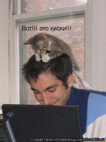 Котоматрица: Вот!!! это киски!!!