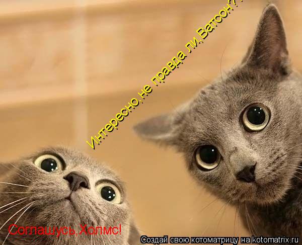 Котоматрица: Интересно,не правда ли,Ватсон??? Соглашусь,Холмс!
