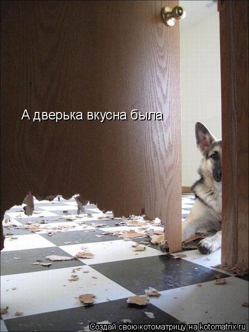 Котоматрица: А дверька вкусна была
