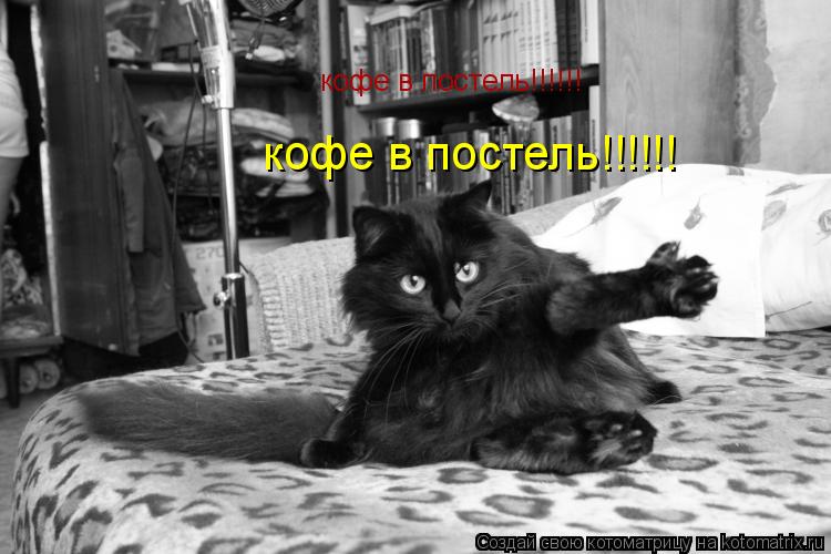 Котоматрица: кофе в постель!!!!!! кофе в постель!!!!!!