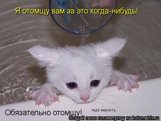 Котоматрица: Я отомщу вам за это когда-нибудь! Обязательно отомщу! кода вырасту...