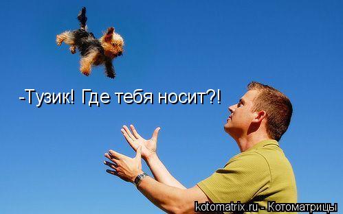 Котоматрица: -Тузик! Где тебя носит?!