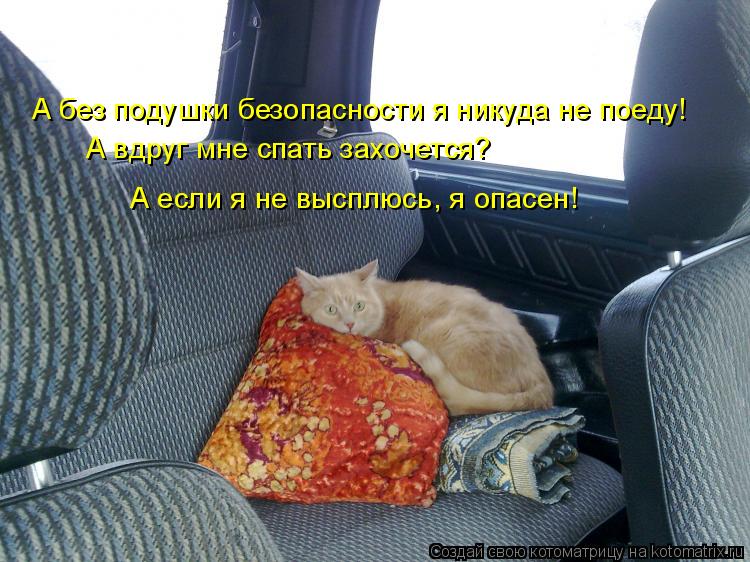 Котоматрица: А без подушки безопасности я никуда не поеду! А вдруг мне спать захочется? А если я не высплюсь, я опасен!