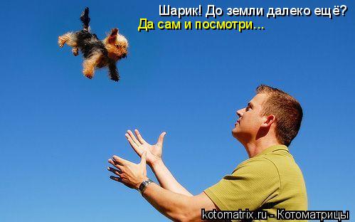 Котоматрица: Шарик! До земли далеко ещё? Да сам и посмотри...