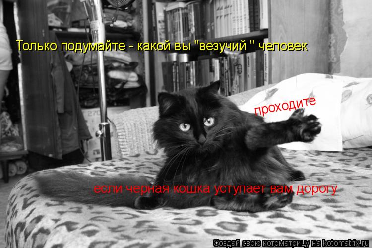 Котоматрица: Только подумайте - какой вы "везучий " человек если черная кошка уступает вам дорогу проходите