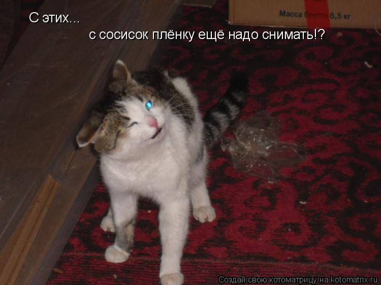 С этих... с сосисок плёнку ещё надо снимать!?... Котоматрица: С этих... с сосисок плёнку ещё надо снимать!?