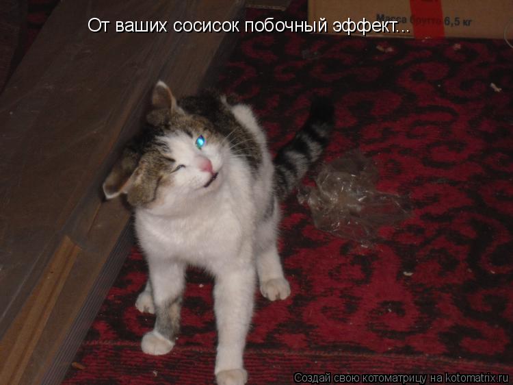 От ваших сосисок побочный эффект...... Котоматрица: От ваших сосисок побочный эффект...