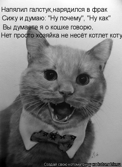 Сижу и думаю: "Hу почему", "Ну как" Вы думаете я о кошке говорю , Напялил галстук,нарядился в фрак Не... Котоматрица: Сижу и думаю: "Hу почему", "Ну как" Вы думаете я о кошке говорю , Напялил галстук,нарядился в фрак Нет просто хозяйка не несёт котлет коту