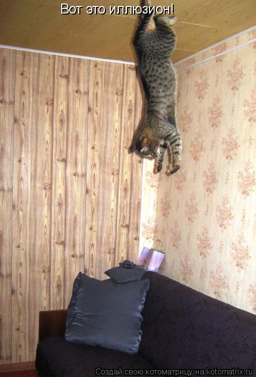 Вот это иллюзион!... Котоматрица: Вот это иллюзион!
