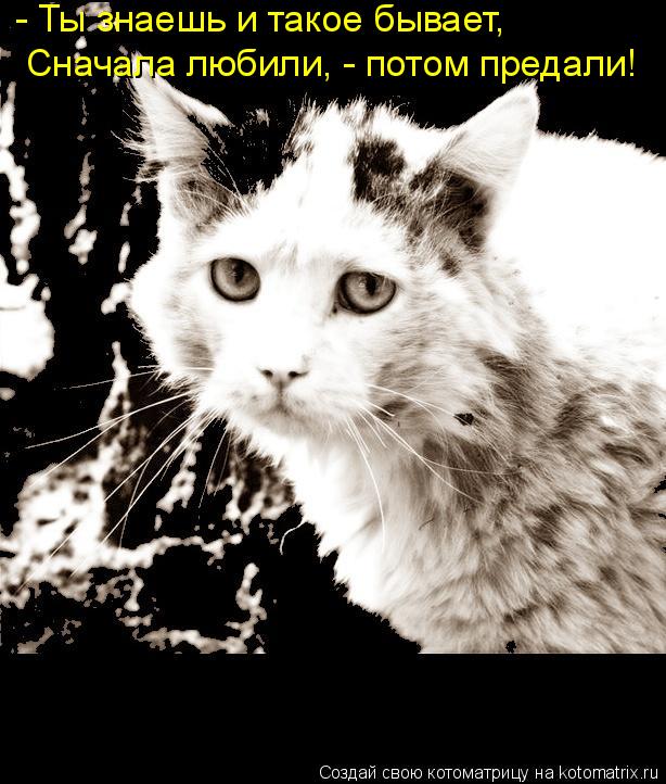- Ты знаешь и такое бывает, Сначала любили, - потом предали!... Котоматрица: - Ты знаешь и такое бывает, Сначала любили, - потом предали!