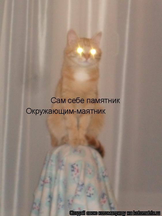Сам себе памятник Окружающим-маятник... Котоматрица: Сам себе памятник Окружающим-маятник