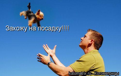 Захожу на посадку!!!!... Котоматрица: Захожу на посадку!!!!