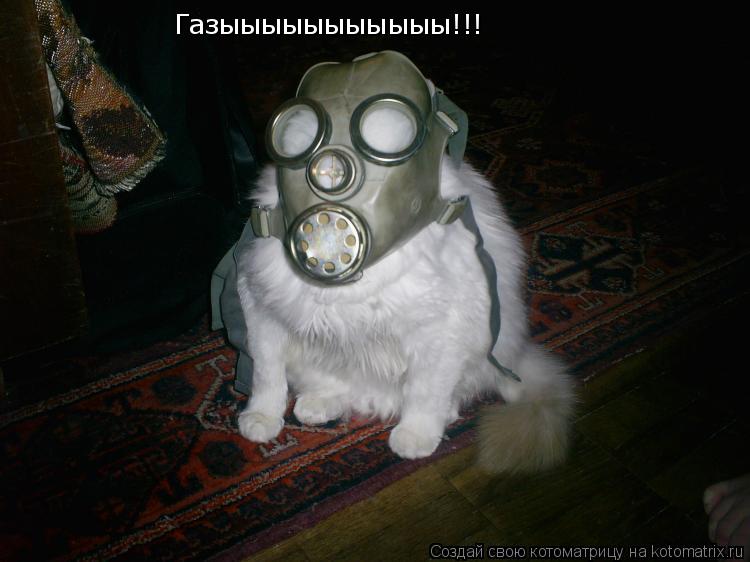 Газыыыыыыыыыыы!!!... Котоматрица: Газыыыыыыыыыыы!!!