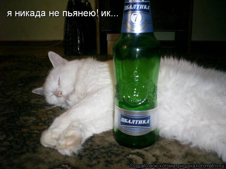 я никада не пьянею! ик...... Котоматрица: я никада не пьянею! ик...