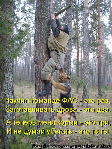 Научил команде ФАС - это раз, Заготавливать дрова - это два. А теперь меня корми - это три, И не дума... Котоматрица: Научил команде ФАС - это раз, Заготавливать дрова - это два. А теперь меня корми - это три, И не думай убегать - это пять!