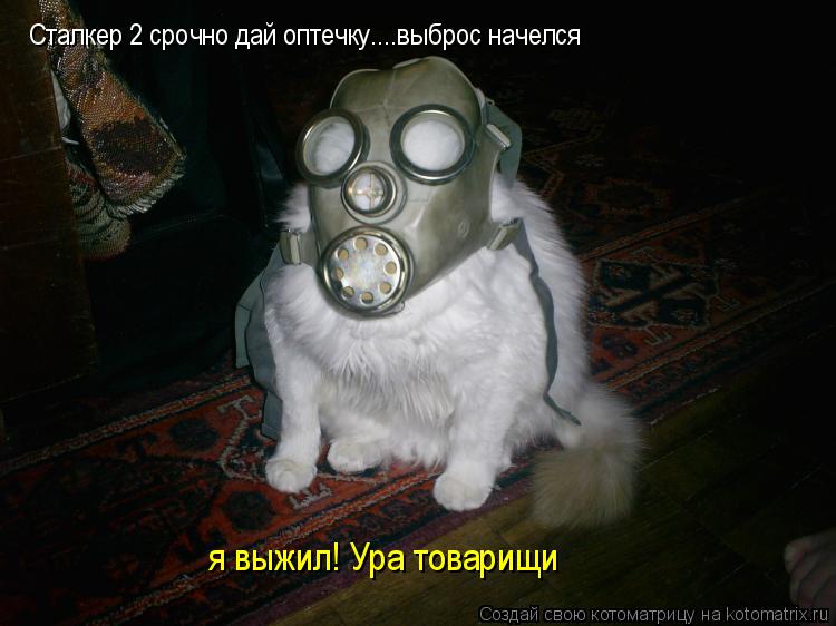 Сталкер№2 срочно дай оптечку....выброс начелся я выжил! Ура товарищи... Котоматрица: Сталкер№2 срочно дай оптечку....выброс начелся я выжил! Ура товарищи