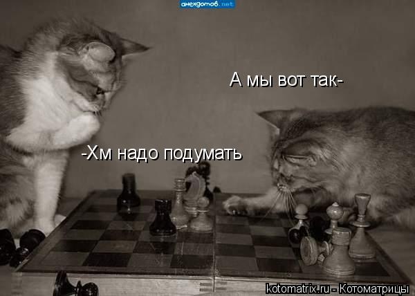 А мы вот так- -Хм надо подумать... Котоматрица: А мы вот так- -Хм надо подумать
