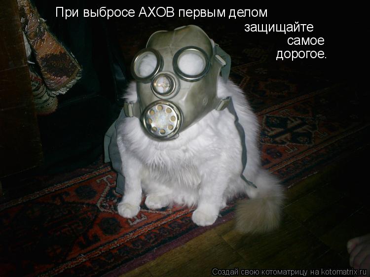 При выбросе АХОВ первым делом защищайте самое дорогое.... Котоматрица: При выбросе АХОВ первым делом защищайте самое дорогое.