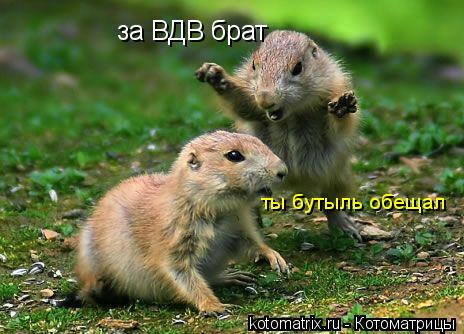 за ВДВ брат ты бутыль обещал... Котоматрица: за ВДВ брат ты бутыль обещал