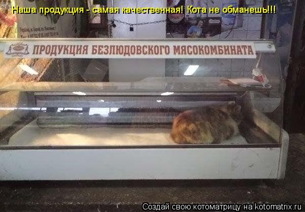 Наша продукция - самая качественная! Кота не обманешь!!!... Котоматрица: Наша продукция - самая качественная! Кота не обманешь!!!