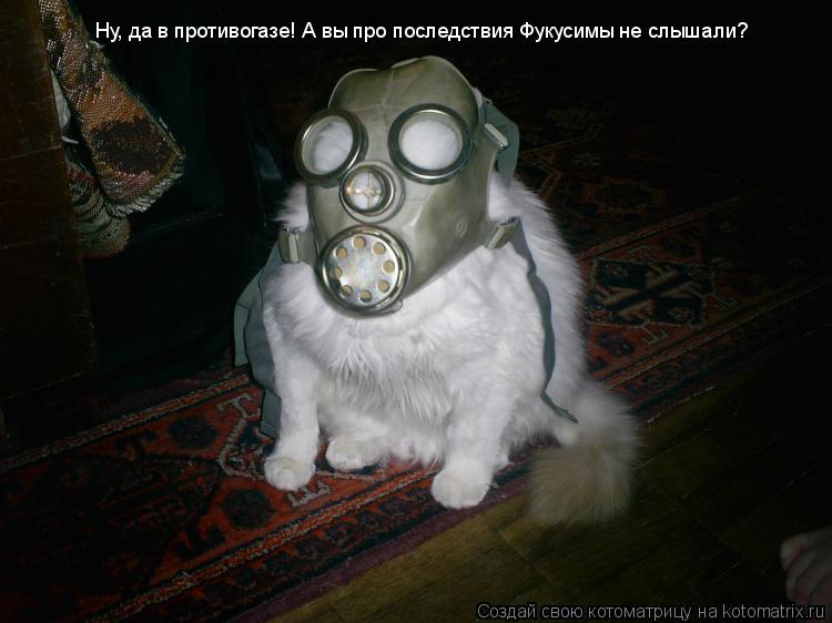 Ну, да в противогазе! А вы про последствия Фукусимы не слышали?... Котоматрица: Ну, да в противогазе! А вы про последствия Фукусимы не слышали?