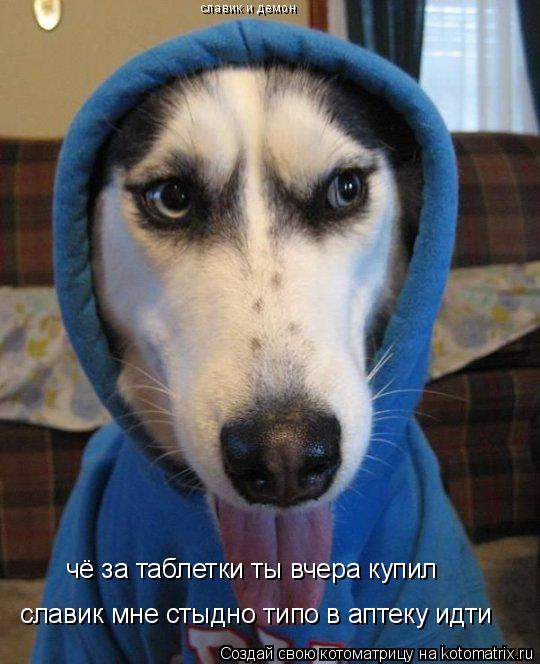 славик и демон славик мне стыдно типо в аптеку идти чё за таблетки ты вчера купил... Котоматрица: славик и демон славик мне стыдно типо в аптеку идти чё за таблетки ты вчера купил