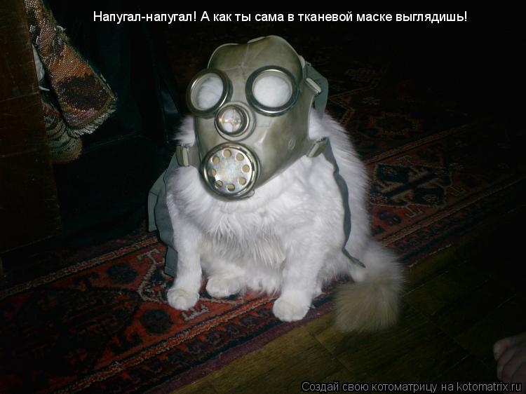 Напугал-напугал! А как ты сама в тканевой маске выглядишь!... Котоматрица: Напугал-напугал! А как ты сама в тканевой маске выглядишь!