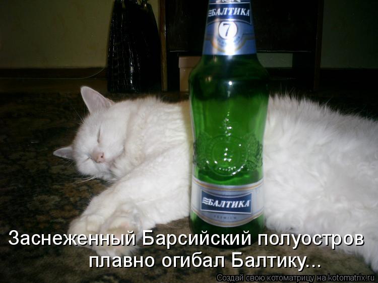 Заснеженный Барсийский полуостров плавно огибал Балтику...... Котоматрица: Заснеженный Барсийский полуостров плавно огибал Балтику...