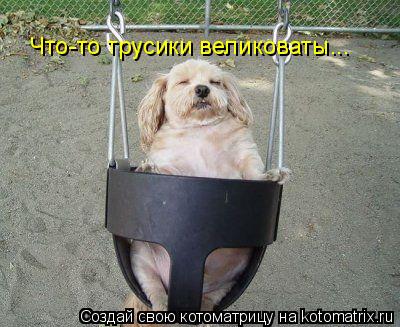 Что-то трусики великоваты...... Котоматрица: Что-то трусики великоваты...