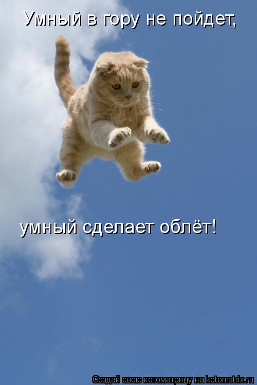 Умный в гору не пойдет, умный сделает облёт!... Котоматрица: Умный в гору не пойдет, умный сделает облёт!
