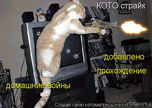 КОТО страйк домашние войны добавлено прохождение... Котоматрица: КОТО страйк домашние войны добавлено прохождение