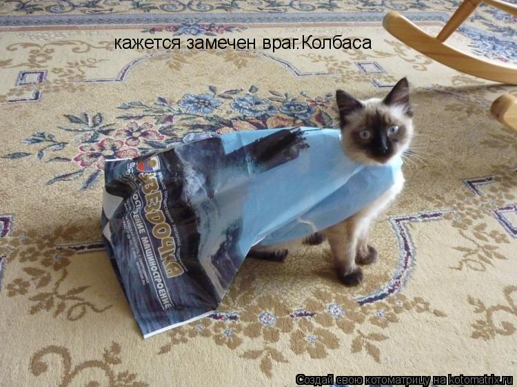 кажется замечен враг.Колбаса... Котоматрица: кажется замечен враг.Колбаса