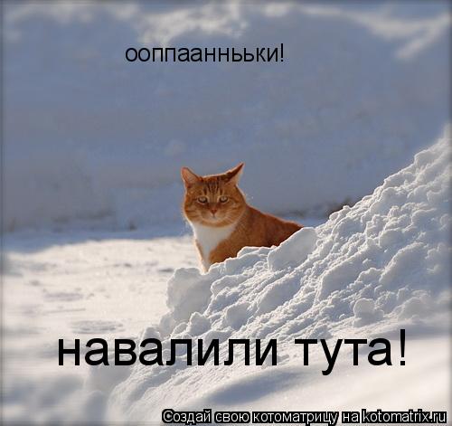 ооппааннььки! навалили тута!... Котоматрица: ооппааннььки! навалили тута!