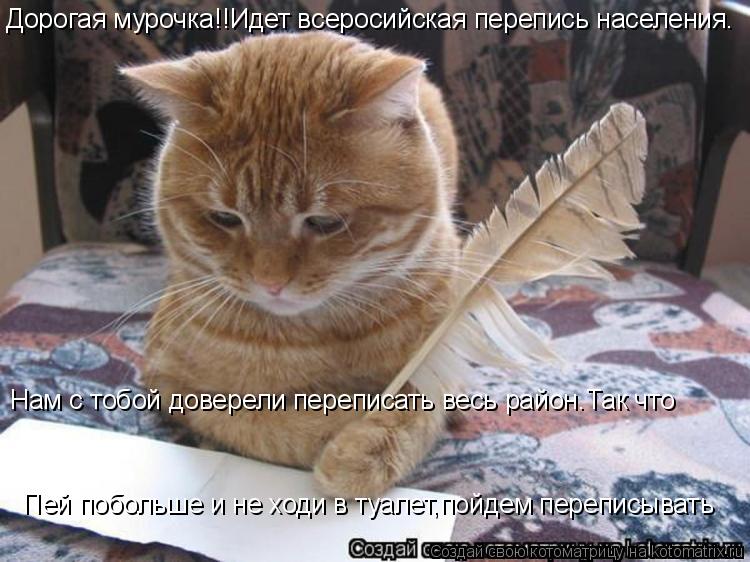 Дорогая мурочка!!Идет всеросийская перепись населения. Нам с тобой доверели переписать весь район.Так... Котоматрица: Дорогая мурочка!!Идет всеросийская перепись населения. Нам с тобой доверели переписать весь район.Так что Пей побольше и не ходи в туалет,п