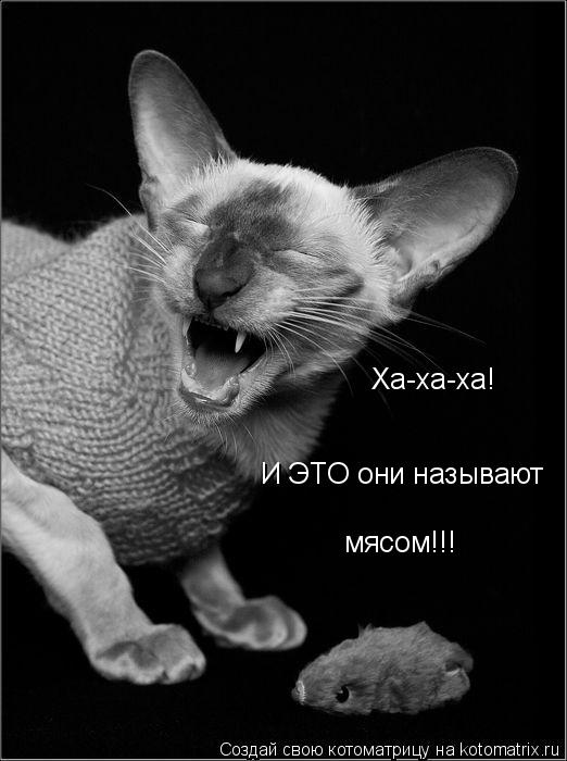 Ха-ха-ха! И ЭТО они называют мясом!!!... Котоматрица: Ха-ха-ха! И ЭТО они называют мясом!!!